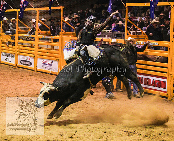 HorseworldOne_0367