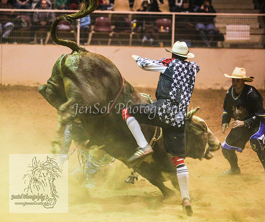 HorseworldOne_0400