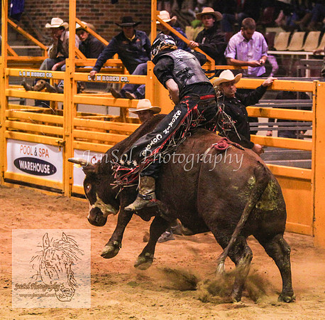 HorseworldOne_0403