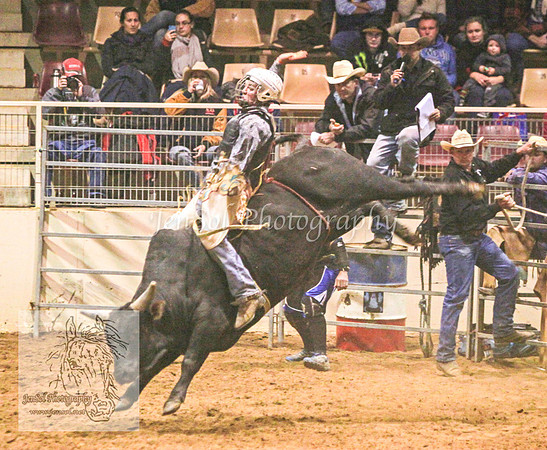 HorseworldOne_0568