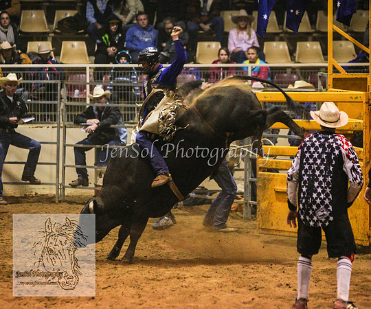 HorseworldOne_0585