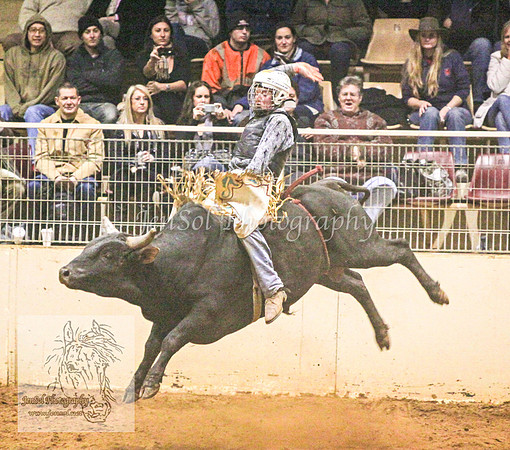 HorseworldOne_0572