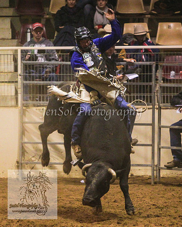 HorseworldOne_0592