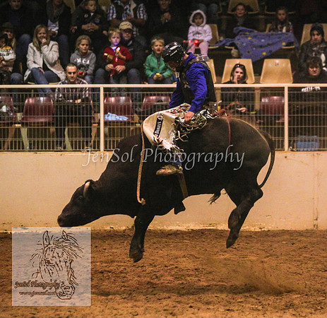 HorseworldOne_0595