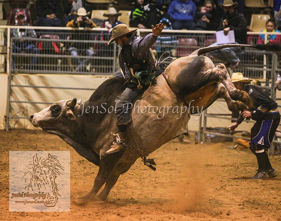 HorseworldOne_0623