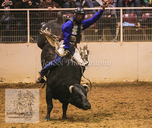 HorseworldOne_0598