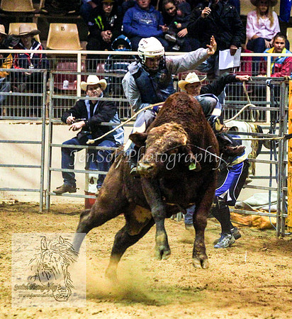 HorseworldOne_0611