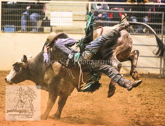 HorseworldOne_0633