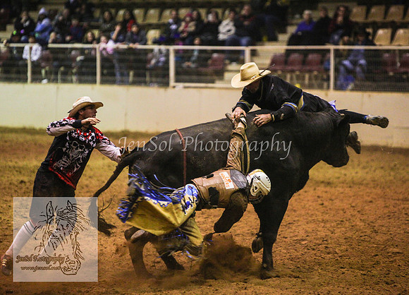 HorseworldOne_0733