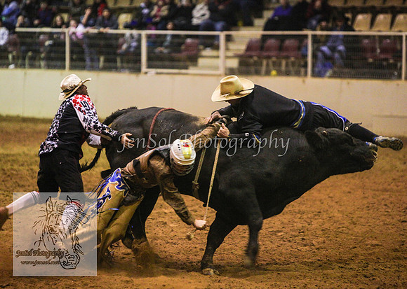 HorseworldOne_0734