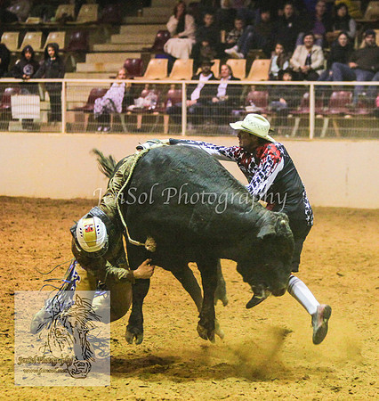 HorseworldOne_0730