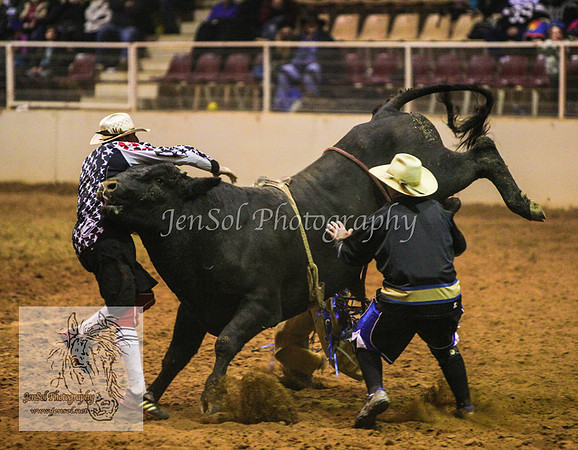 HorseworldOne_0737