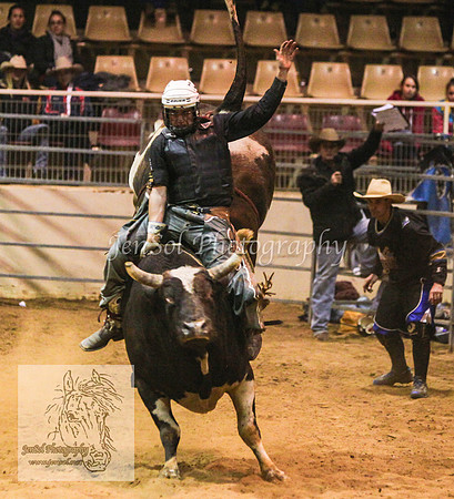 HorseworldOne_0768