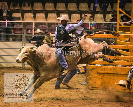 HorseworldOne_0794
