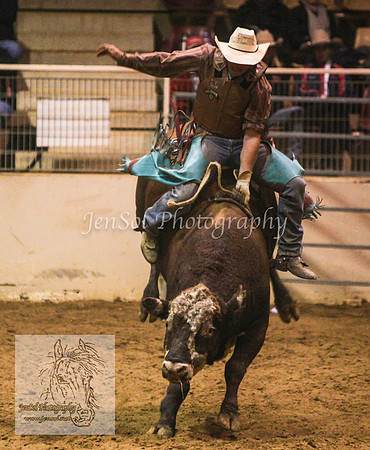 HorseworldOne_0786