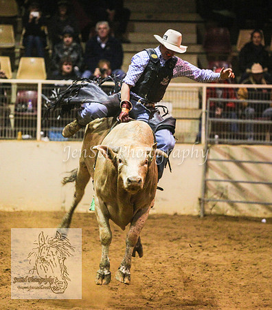 HorseworldOne_0799