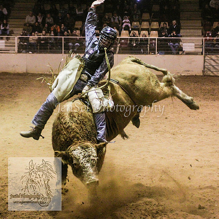 HorseworldTwo_0090