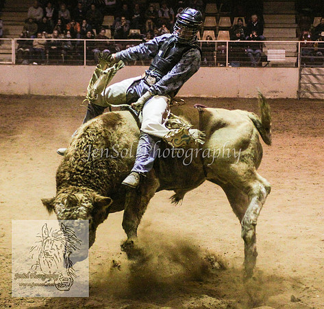 HorseworldTwo_0089