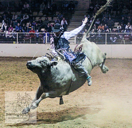 HorseworldTwo_0019
