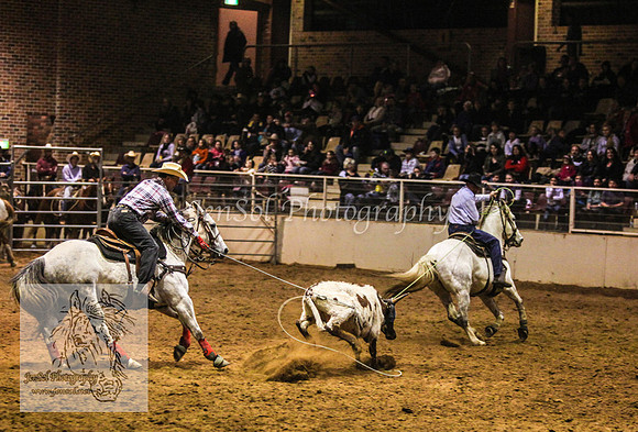 HorseworldOne_0277