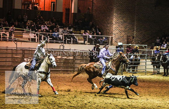 HorseworldOne_0281
