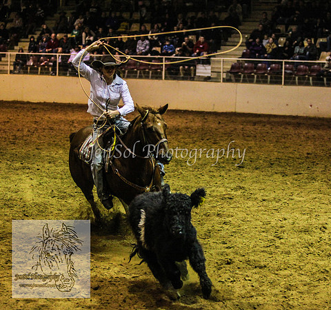 HorseworldOne_0205