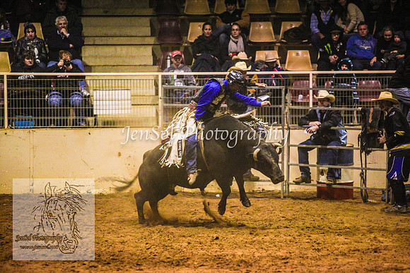 HorseworldOne_0589