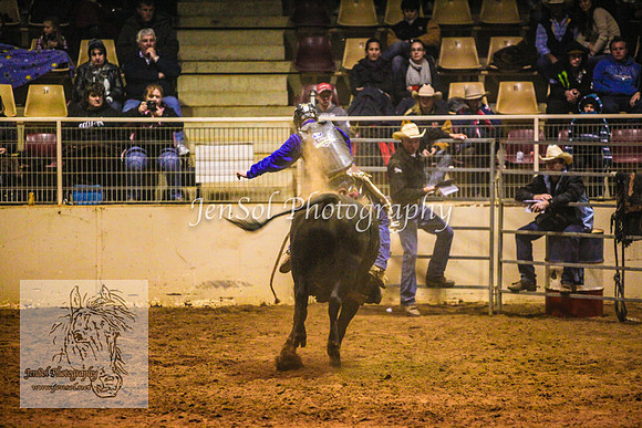 HorseworldOne_0587