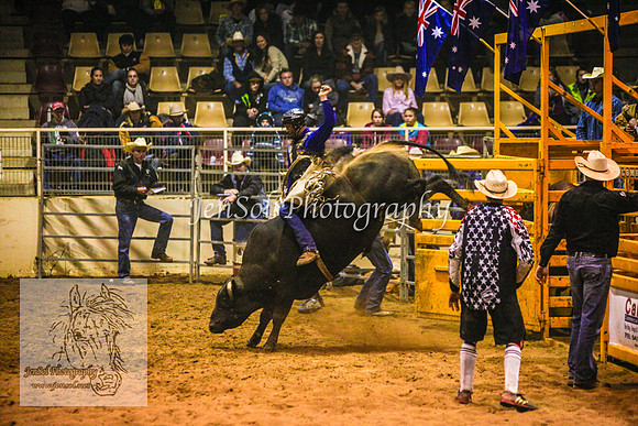 HorseworldOne_0585