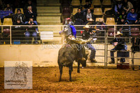 HorseworldOne_0588