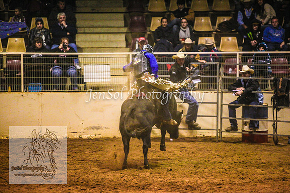 HorseworldOne_0588