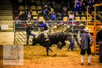 HorseworldOne_0586