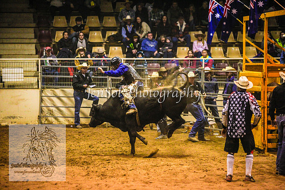 HorseworldOne_0586