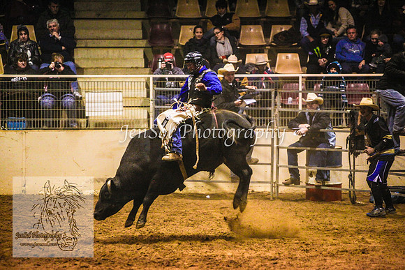 HorseworldOne_0590
