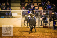HorseworldOne_0592
