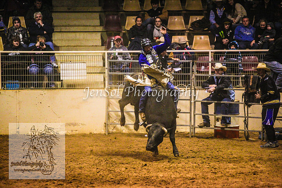 HorseworldOne_0592