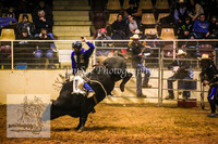HorseworldOne_0591