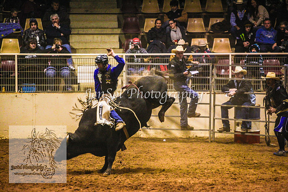 HorseworldOne_0591