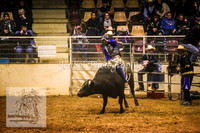 HorseworldOne_0593