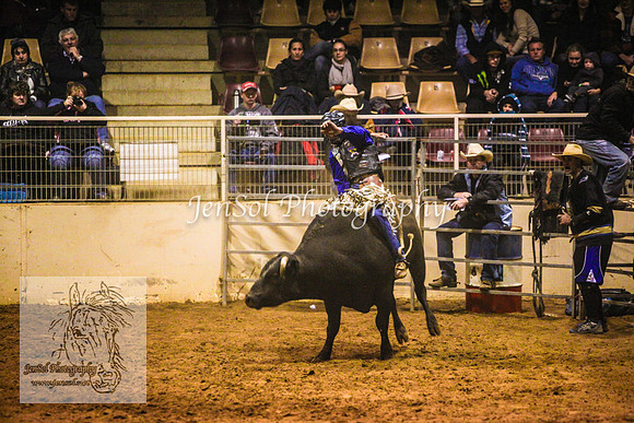 HorseworldOne_0593