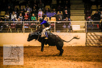 HorseworldOne_0594