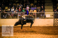 HorseworldOne_0595