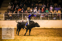 HorseworldOne_0599