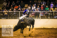 HorseworldOne_0600