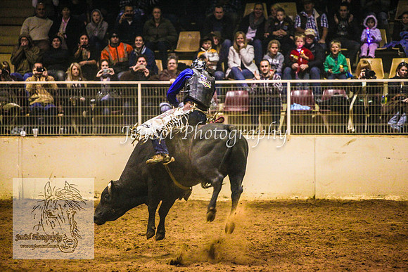 HorseworldOne_0600