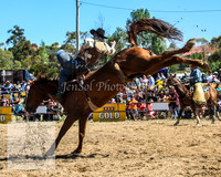 JindabyneRodeo2012_1105