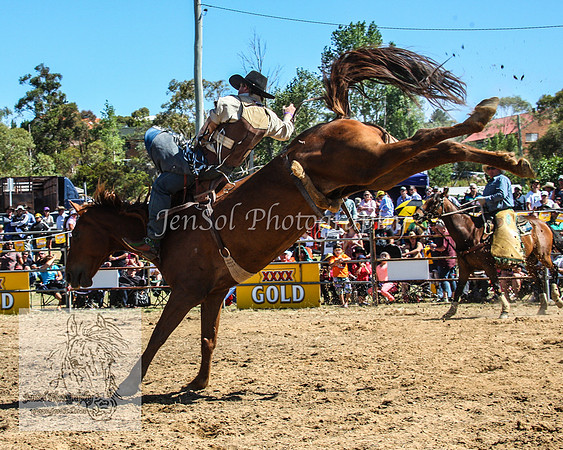 JindabyneRodeo2012_1105