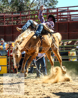 JindabyneRodeo2012_1119
