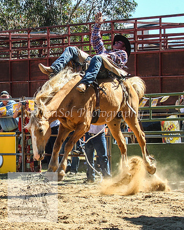 JindabyneRodeo2012_1119