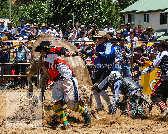 JindabyneRodeo2012_0229